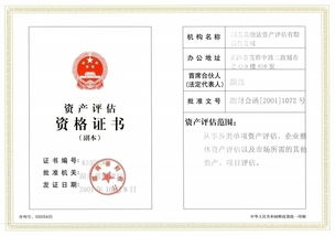 中眾資產評估與湖南新融達資產評估公司的行業價值與發展路徑
